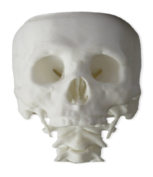 INTAMSYS PLA 1,75 mm 1 KG (Blanc)